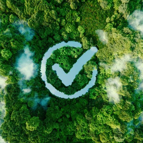 servicio4 derecho medioambiental